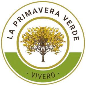 VIVERO LA PRIMAVERA VERDE